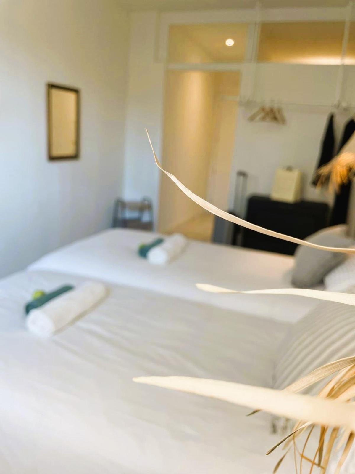 Collection Port - B&B Boutique , Alicante Center Εξωτερικό φωτογραφία